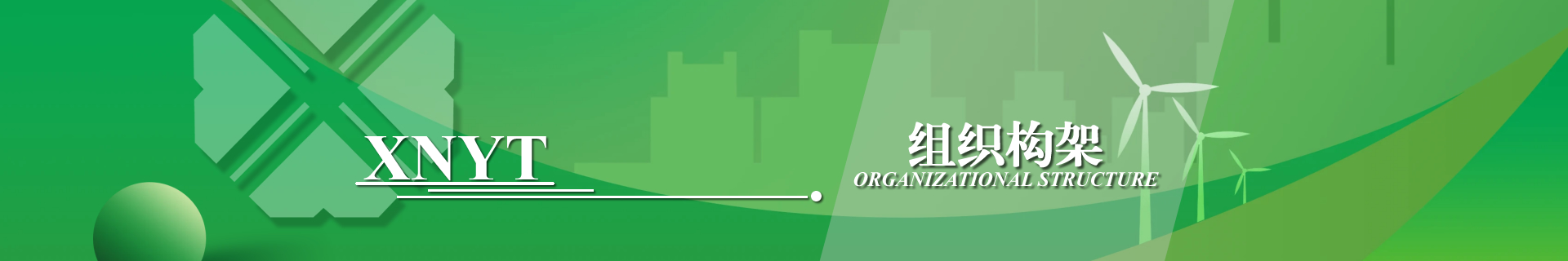 西南醫(yī)投組織構(gòu)架